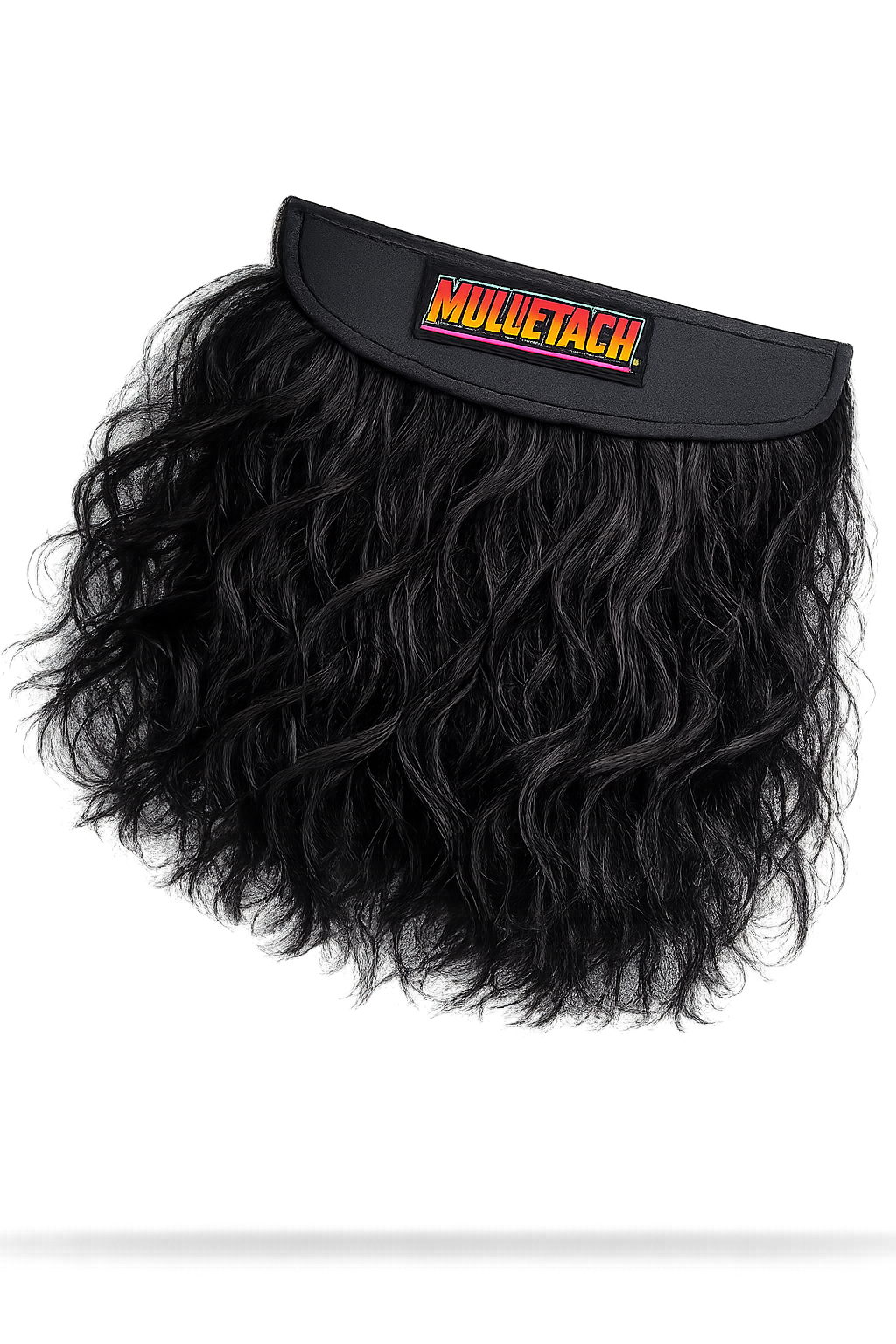 Black Stallion